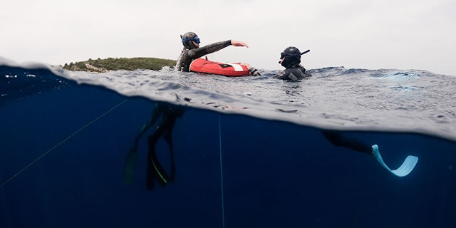 Freediving Training & Coaching